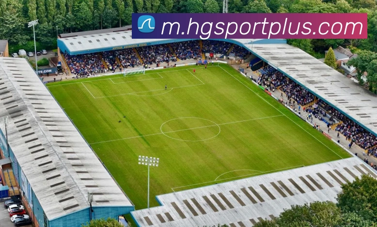 多媒体互动体验